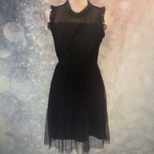 XHILARATION Black polkadot lace dress